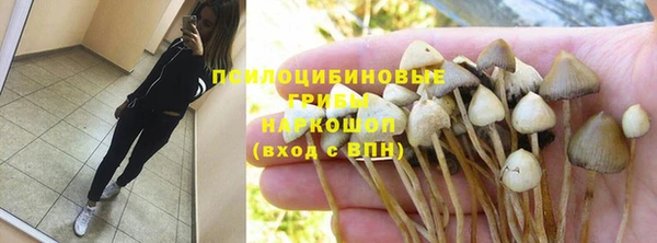 прущие грибы Балахна