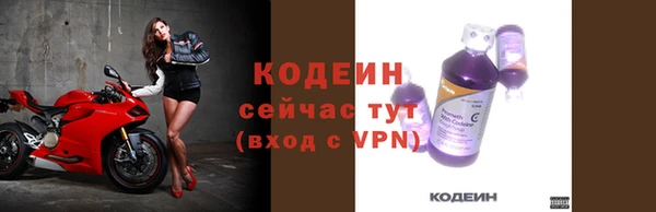 прущие грибы Балахна