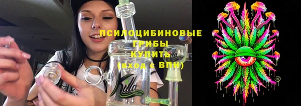 прущие грибы Балахна