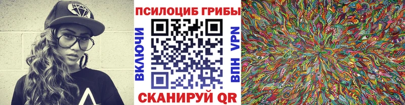 площадка состав  Семилуки  Псилоцибиновые грибы ЛСД 