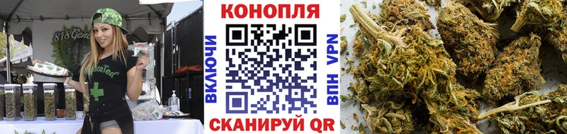 Бошки Шишки Amnesia Семилуки